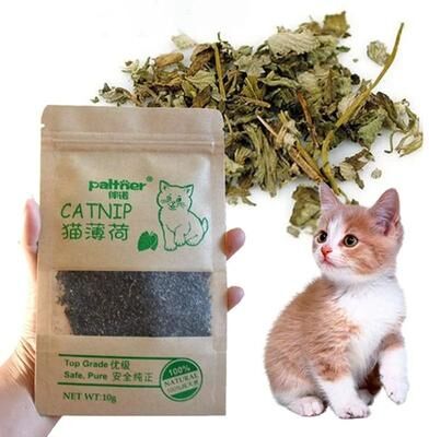 Uplift Essentials PureLeaf 100% Organic Natural Catnip PureLeaf 100% Organic Natural Catnip