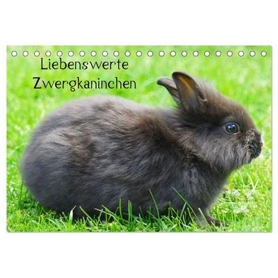 Liebenswerte Zwergkaninchen (Tischkalender 2027 DIN A5 quer), CALVENDO Monatskalender