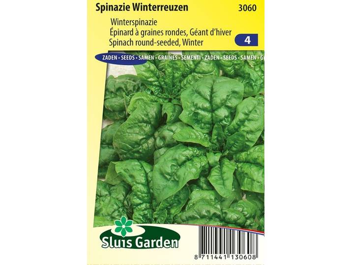 Spinazie zaden Winterreuzen