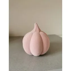 Kürbis Koba hoch altrosa 11,5cm