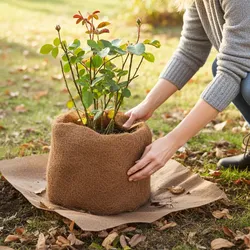 Kokos Pflanzenschutzmatte (150x50cm): Effektiver Schutz vor Unkraut, Frost & Austrocknung, umweltfreundlich & ideal für Beete, Töpfe & Hochbeete