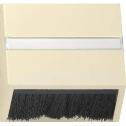 Gira Zentralplatte cws-gl 068201