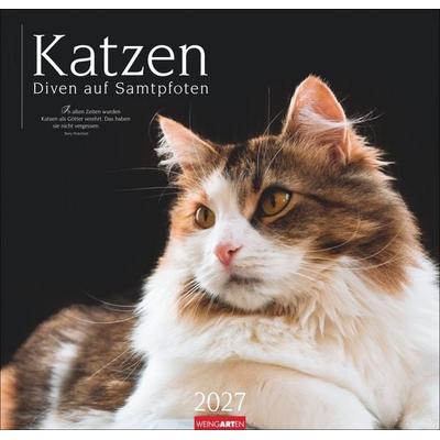 Katzen - Diven auf Samtpfoten Kalender 2027 - Diven auf Samtpfoten