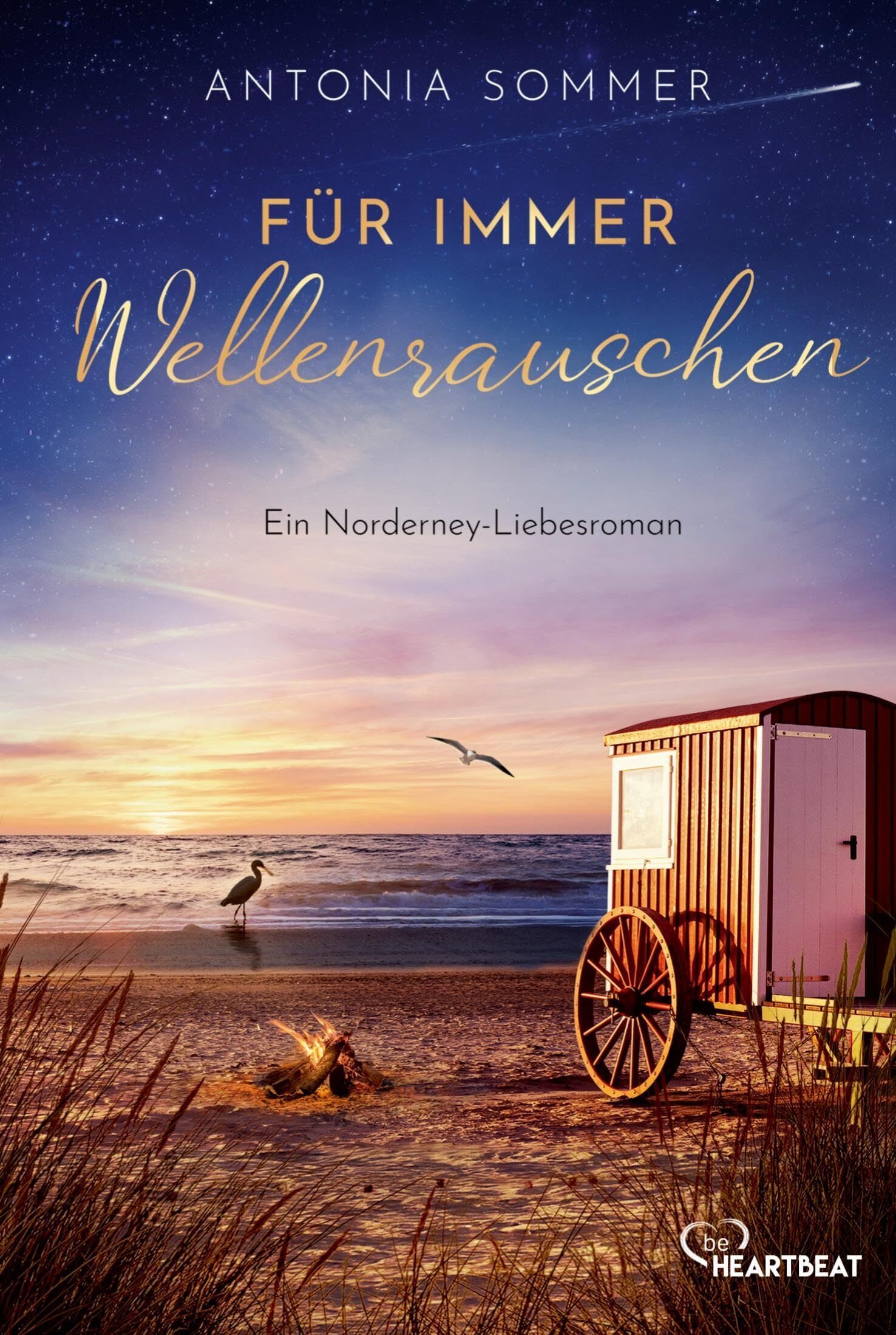 Antonia Sommer - Für immer Wellenrauschen - Preis vom 13.10.2026 11:25:28 h