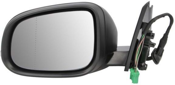 BLIC 5402-24-1839310P Wing mirror