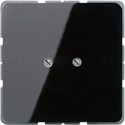 Jung Blind-Abdeckung sw CD 561 B SW