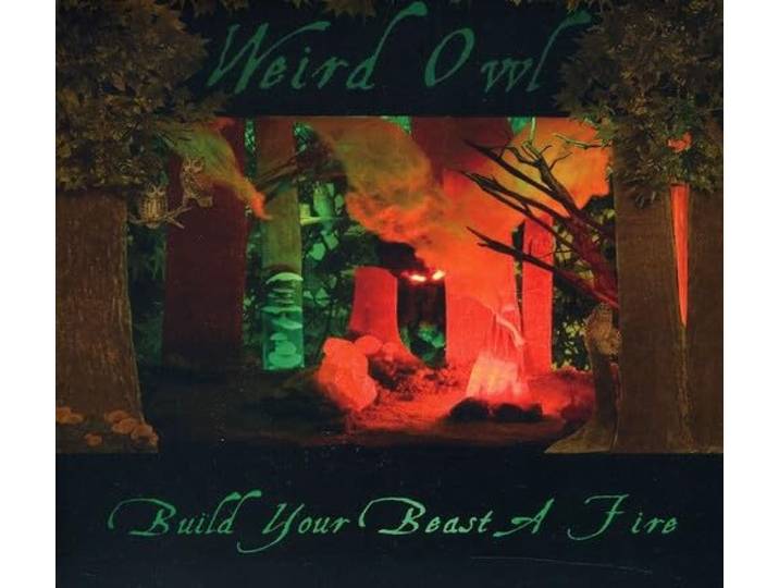 Weird Owl - Build Your Beast A Fire