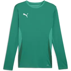 Puma, Herren, Sportshirt, TeamGoal (M), Grün