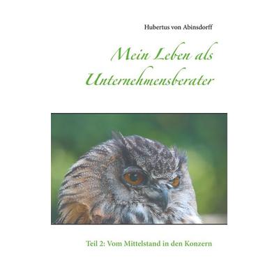 Mein Leben als Unternehmensberater, Taschenbuch von Hubertus Abinsdorff, BoD – Books on Demand, 978-3-7519-7715-9