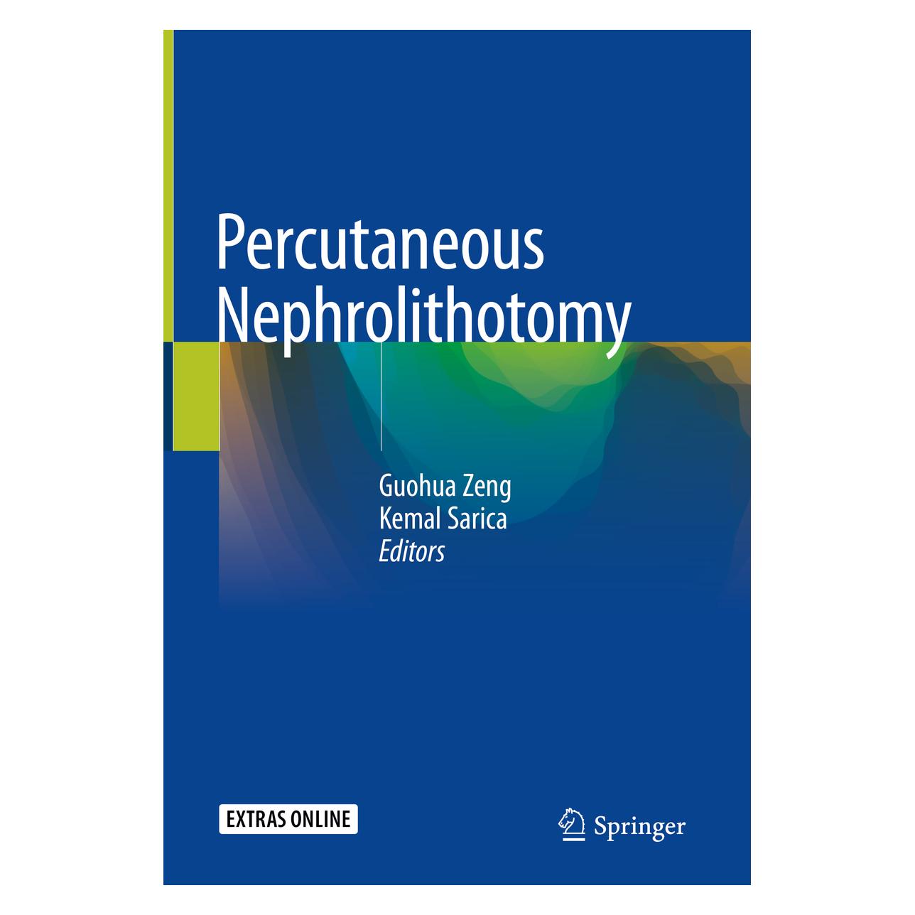 Springer Percutaneous Nephrolithotomy (Englisch, Hardcover, Guohua Zeng, Kemal Sarica) (71874800)