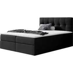 BOXBETT Rico - H3
