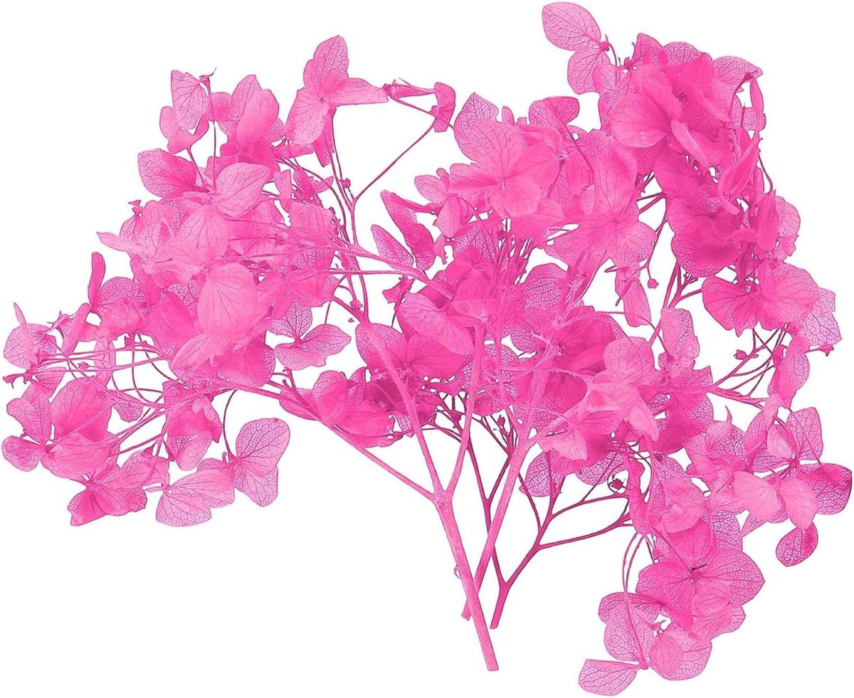 Gedroogde Hortensia Bloem - Roze - 10 gram