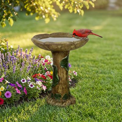 Meedzom 24 Inch Tall GFRC Flower Bird Bath with Leafy Tree Trunk Pedestal Garden Decor
