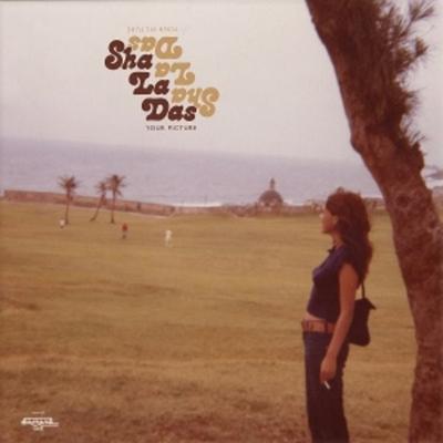 YOUR PICTURE (Honey Mustard Vinyl) - The Sha La Das, Vinyl
