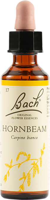 Schwabe Pharma Italia Hornbeam Bach Original 20ml