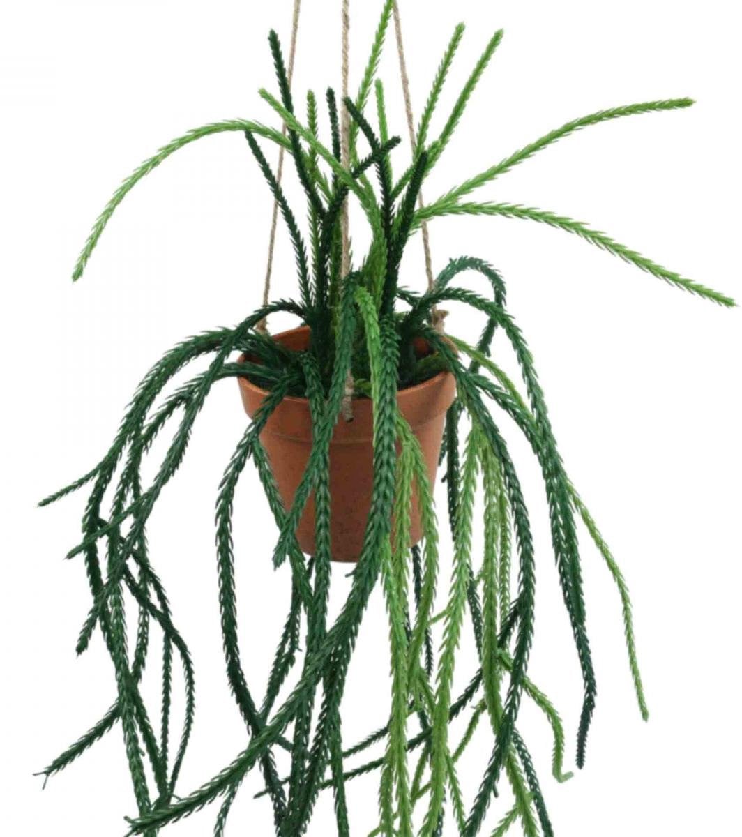 Rhipsalis kunstmatige koraalcactus hangmand Hoogte: 87 cm