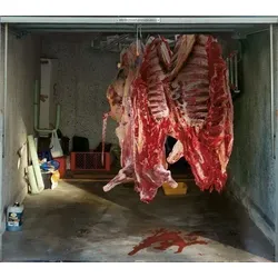 Scheurich Garagentorplane Schweinehälften, für Schwing- und Sektionaltore
