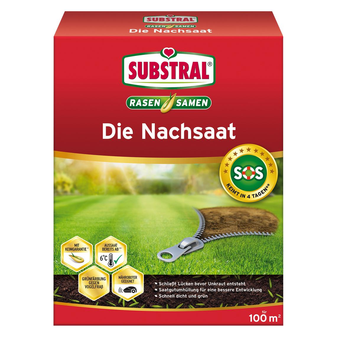 Substral Die Nachsaat 2 kg (Rasensamen) (84951)