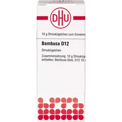 Bambusa D12 10 G