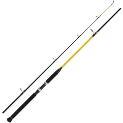 WFT Never Crack Heavy Spin 2,40m 100-400g Norwegen Rute