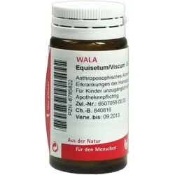 Equisetum/viscum Globuli 20 g