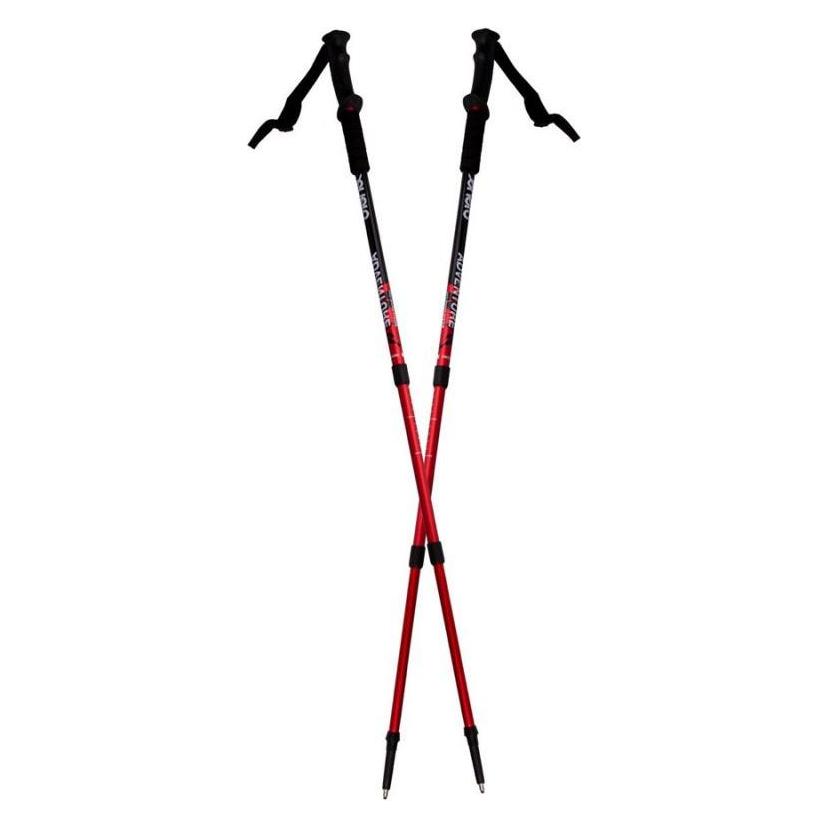 Enero Nordic-Walking-Stöcke (GS247935)