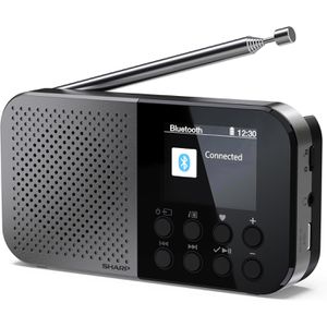 Sharp Radio DR-P540 DAB+, Akku, Bluetooth