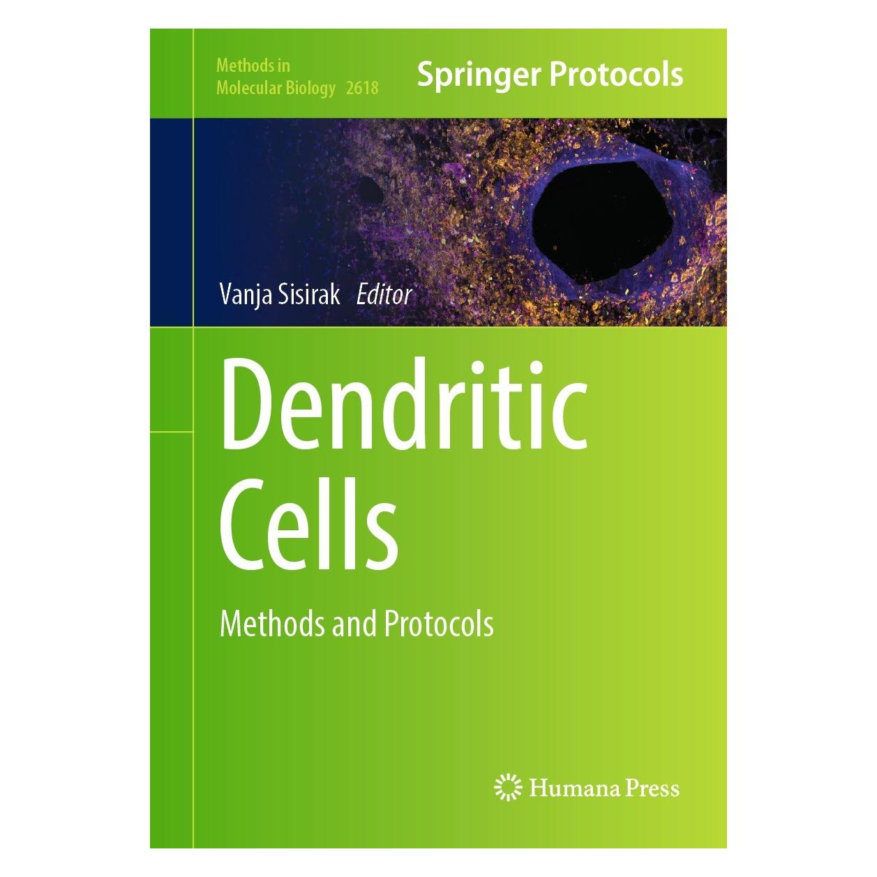 Springer Dendritic Cells (Englisch, Hardcover, Vanja Sisirak) (9781071629376)