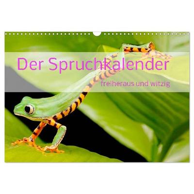 Der Spruchkalender - freiheraus und witzig (Wandkalender 2027 DIN A3 quer), CALVENDO Monatskalender