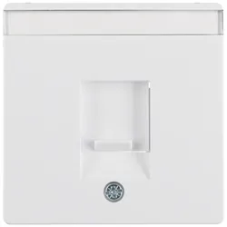 Berker 11706089 Zentralstück m Staubs u BF Q.x polarweiß