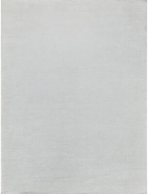 EXQUISITE RUGS Gamma Indoor/Outdoor Flatweave PET yarn Ivory Area Rug.