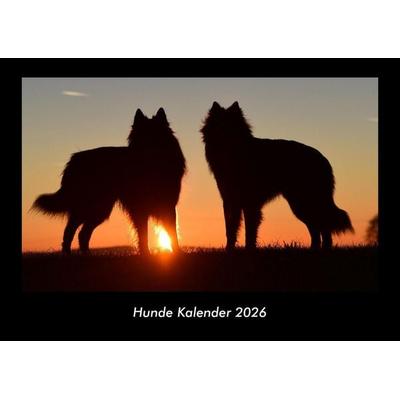 Hunde Kalender 2026 Fotokalender DIN A3