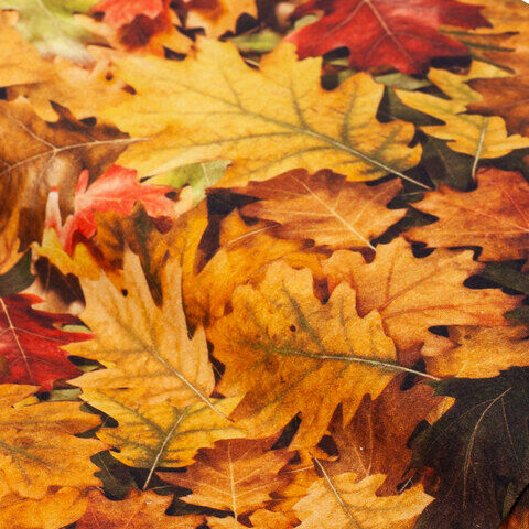 Baumwollstoff-Digitaldruck "Herbstlaub", Serie Ria, braun-color