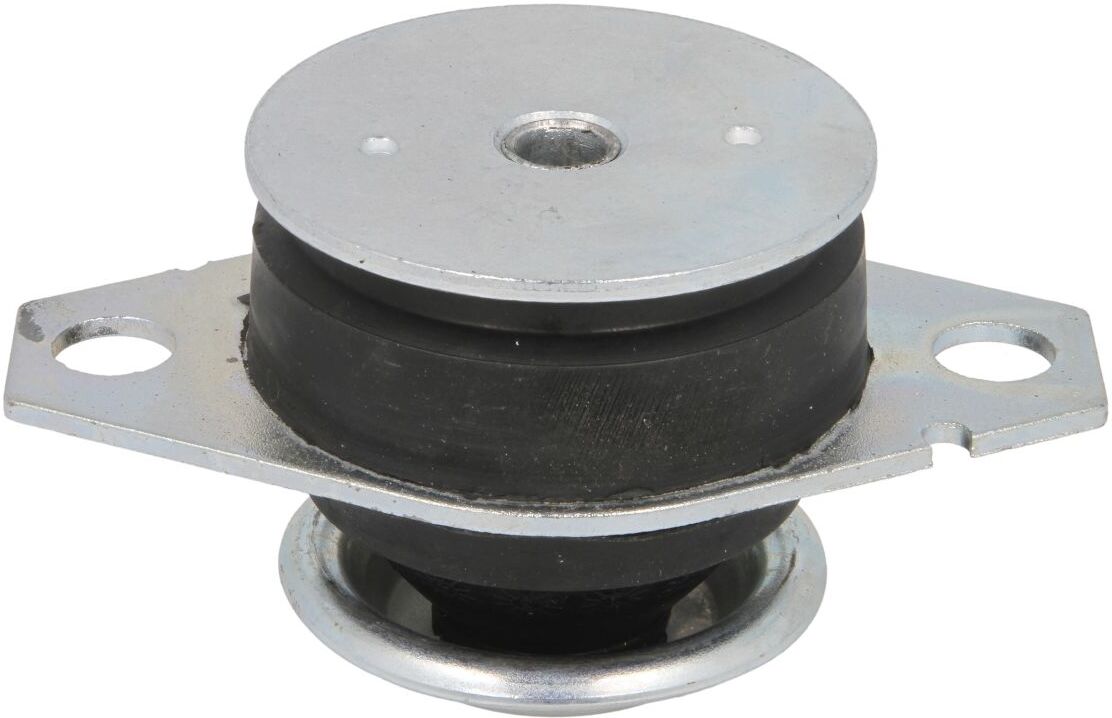 Reinhoch Supporto, supporto motore RH11-1009 sinistro