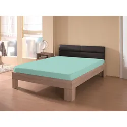 DREAMTEX Premium Jersey Spannbetttuch 140-160x200 cm, mint