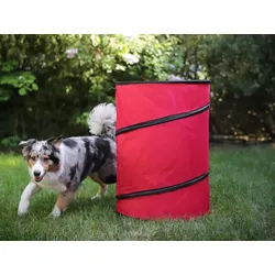 Hoopers Tonne für Hundesport, Hundetraining ohne Sprünge, Agility