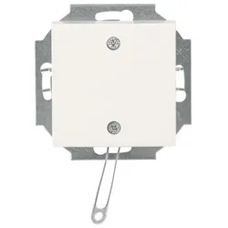 Busch-Jaeger Zugschalter 2610/6 UC-914