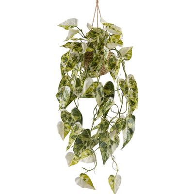 Kunstpflanze CREATIV GREEN "Syngonium", grün (grünweiß), H:80cm, Kunststoff, Kunstpflanzen, Kunstpflanze, mit Hängetopf