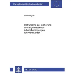 Instrumente zur Sicherung von angemessenen Arbeitsbedingungen für Praktikanten, Fachbücher von Nina Wagner