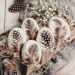 Home Fashion, Natural Easter Eggs, Lunch-Servietten aufgefaltetes Maß 33 cm x 33 cm, im Viertelfalz, 20 Stück pro Pack