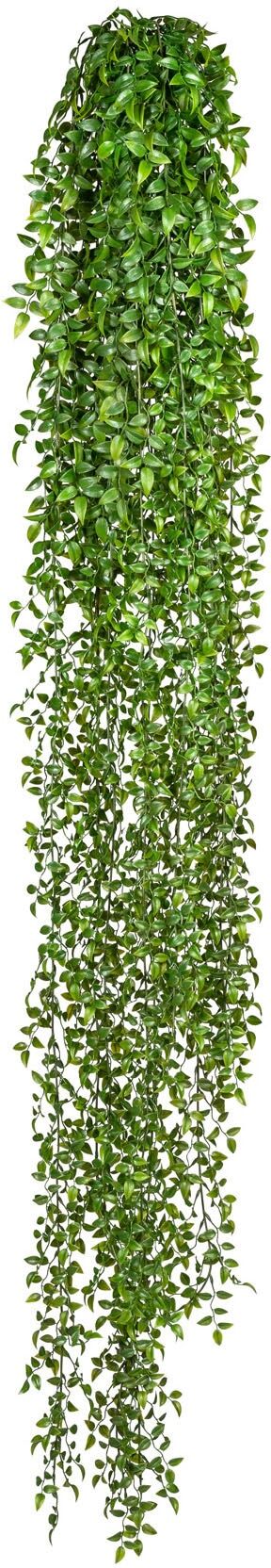 Kunstranke CREATIV GREEN "Ruscushänger", grün, B:16cm H:160cm, Kunststoff, Kunstpflanzen, Kunstranke