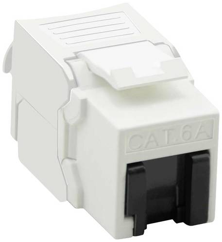 Value 26.99.0377 RJ45-Einbaumodul CAT 6a 1 St.
