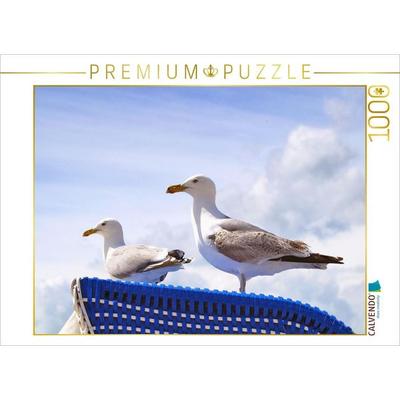 CALVENDO Puzzle Möwen auf einem Strandkorb an der Ostsee | 1000 Teile Lege-Größe 64x48cm Foto-Puzzle für glückliche Stunden