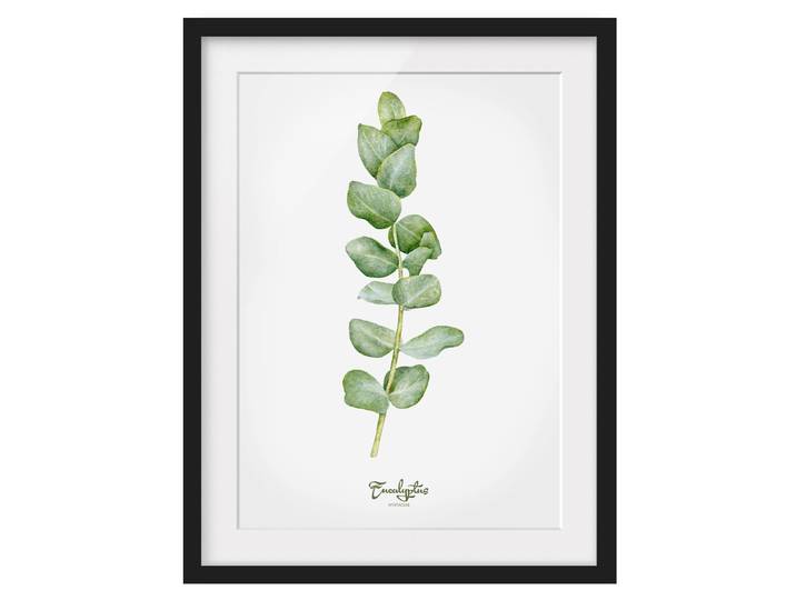 Impression aquarelle Eucalyptus I Pin massif, verni mat Vert 30 x 40cm