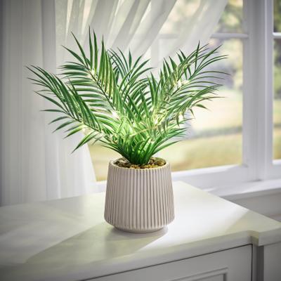 Pre-Lit Palm Tree by BrylaneHome in Green
