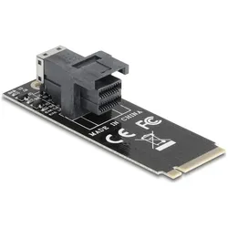 Delock Adapter M.2 Key M zu SFF-8643 NVMe 2260, SSD + Festplatte Zubehör