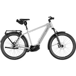 Riese & Müller Charger5 pinion 800 Wh Herren silber 2026 - 27,5" - 53 cm
