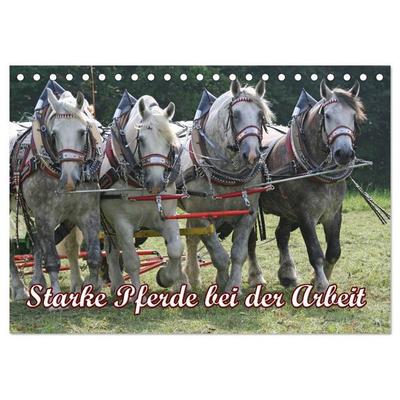 Starke Pferde bei der Arbeit (Tischkalender 2026 DIN A5 quer), CALVENDO Monatskalender