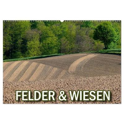 Felder und Wiesen (Wandkalender 2026 DIN A2 quer), CALVENDO Monatskalender