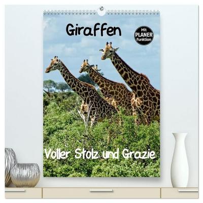 Giraffen. Voller Stolz und Grazie (hochwertiger Premium Wandkalender 2027 DIN A2 hoch), Kunstdruck in Hochglanz
